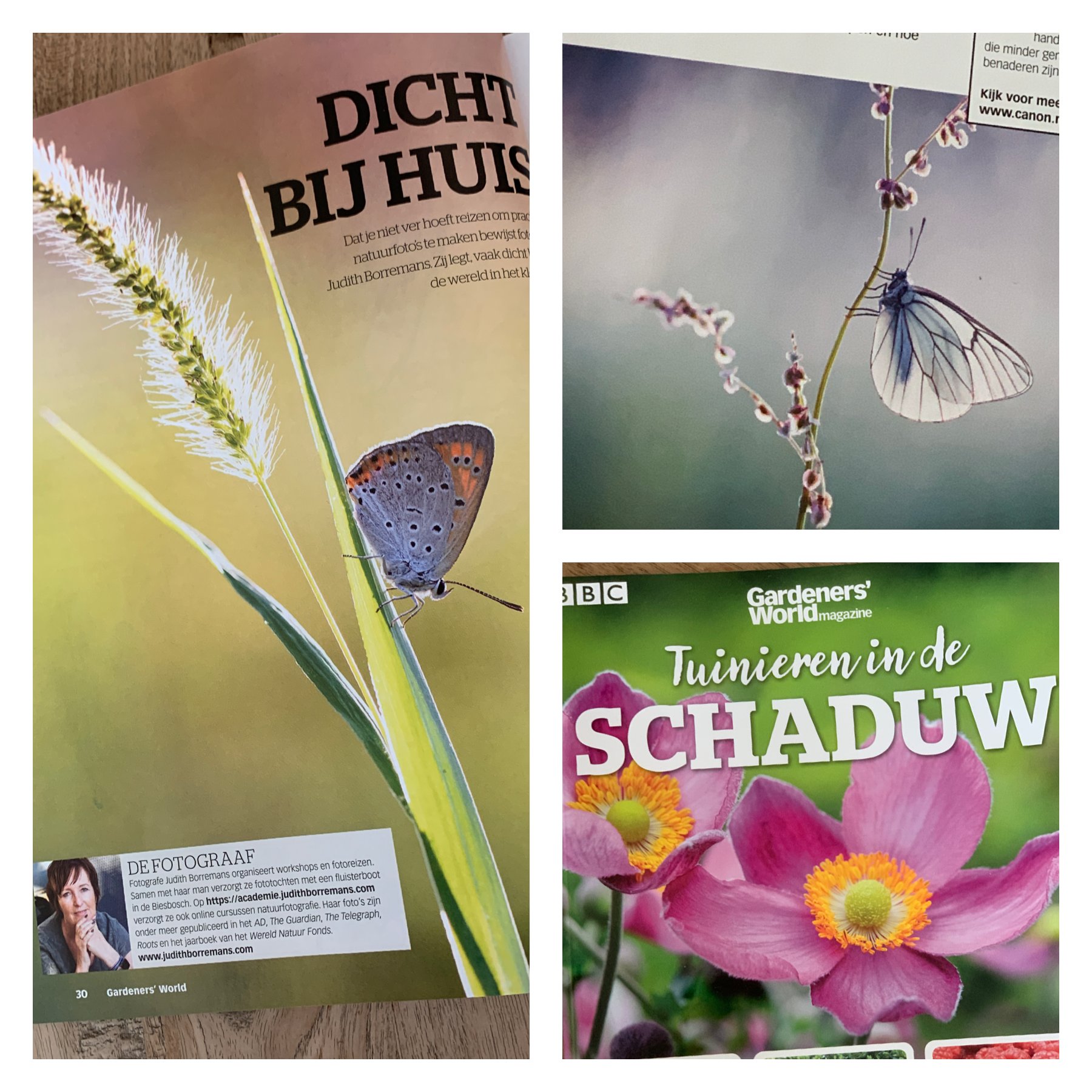 Publicatie Gardeners World Magazine